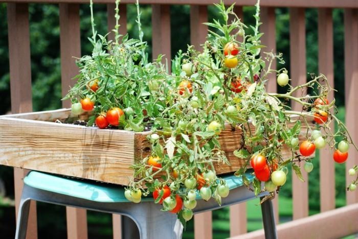ζωντανές ιδέες κήπο σχεδιασμός μπαλκονιού λαχανικά