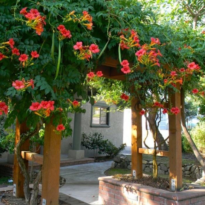 ιδέες σπιτιού σχεδιασμός κήπου πέργκολα λουλούδια αναρρίχηση φυτών