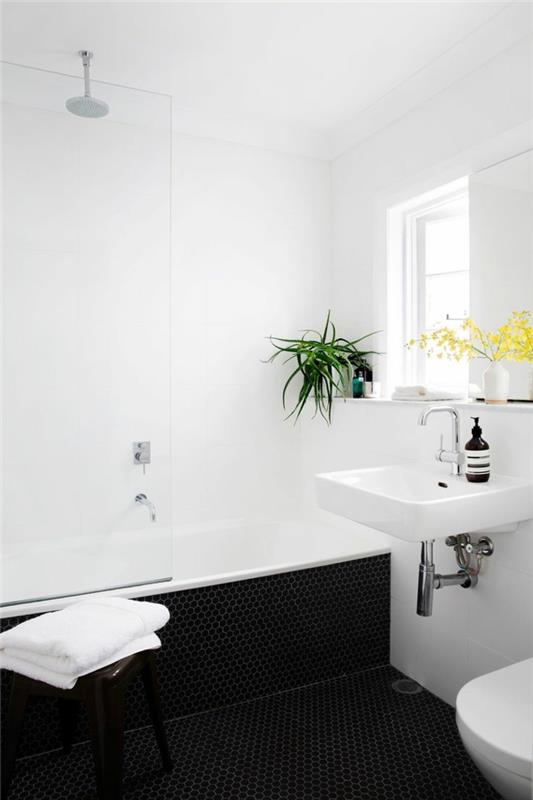 διακοσμήστε διαμέρισμα μπάνιο σχεδιασμός λευκοί τοίχοι σκούρο πάτωμα