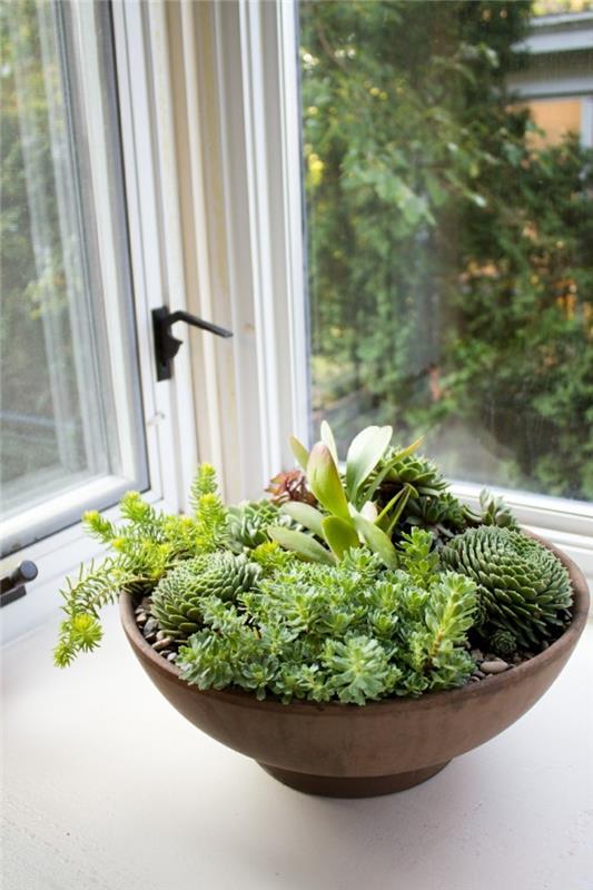 διακοσμήστε το διαμέρισμα με φυτά
