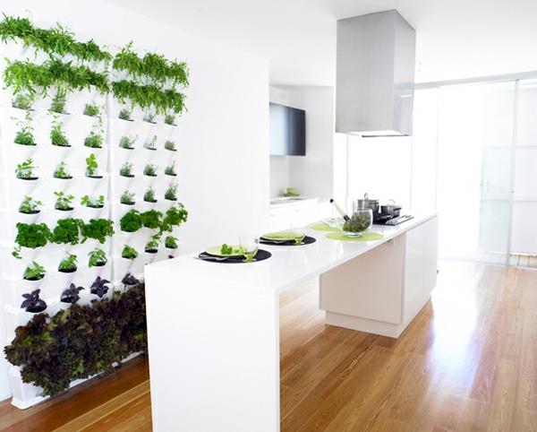 διαμέρισμα ομορφύνει κάθετο κήπο μαγειρικά βότανα