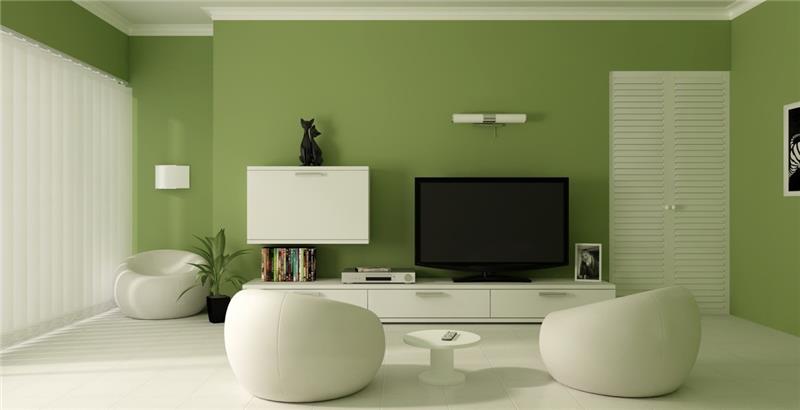 σαλόνι χρώματα πράσινο και άσπρο