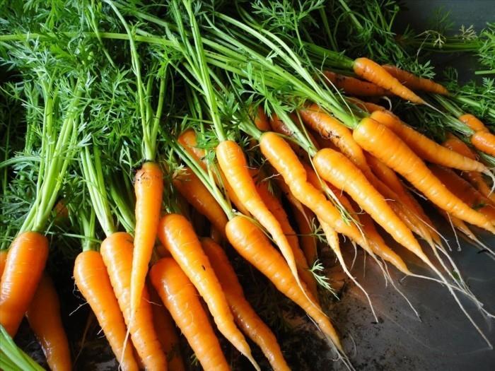ρίζα λαχανικά τεύτλα καρότα