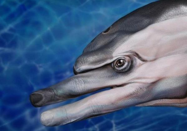 δελφίνι σύγχρονης τέχνης