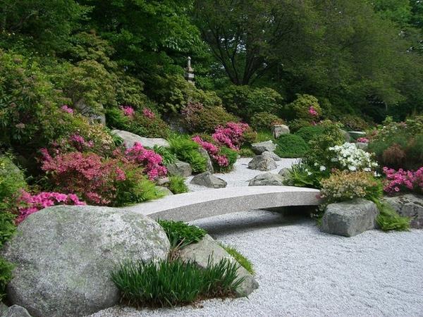 ο κήπος zen δημιουργεί φυτά τοπίου βεράντας