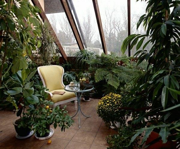 Εσωτερικά πράσινα φυτά Έπιπλα σχεδιασμού χειμερινού κήπου κεκλιμένη στέγη