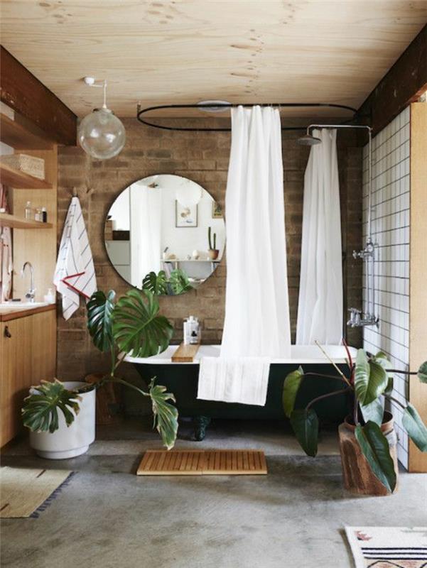 εσωτερικά φυτά μπάνιου διακόσμηση φυτών κουρτίνα μπάνιου
