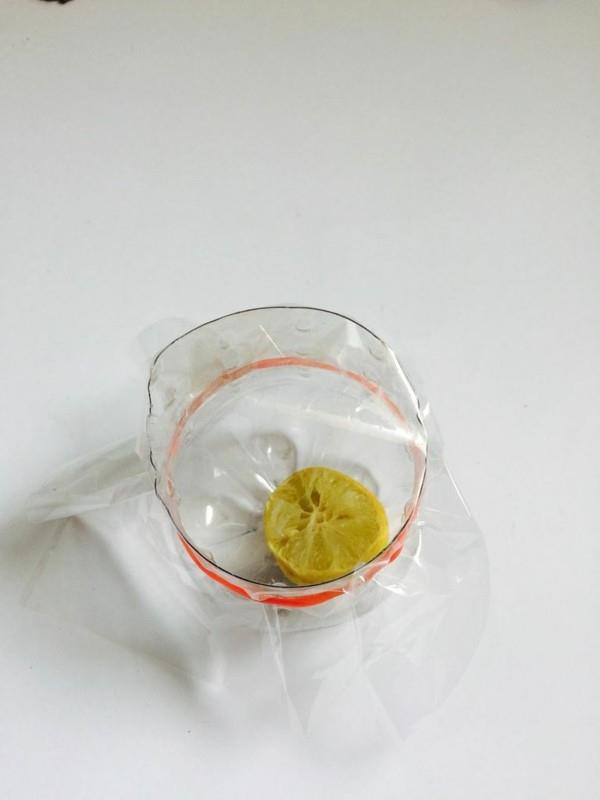 Φτιάξτε μόνοι σας παγίδα με φρούτα από πλαστικό μπουκάλι λεμόνι