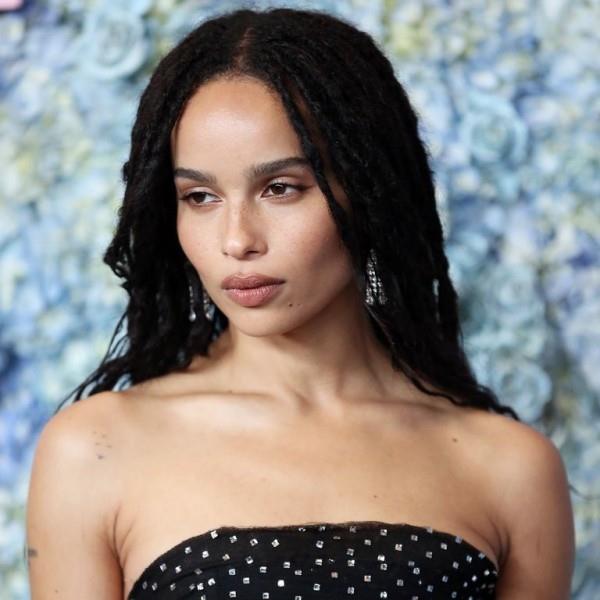 χτένισμα zoe kravitz γυναίκες rasta πλεξούδες